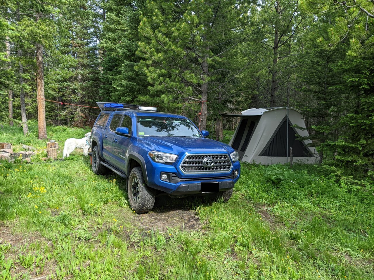 camping.jpg