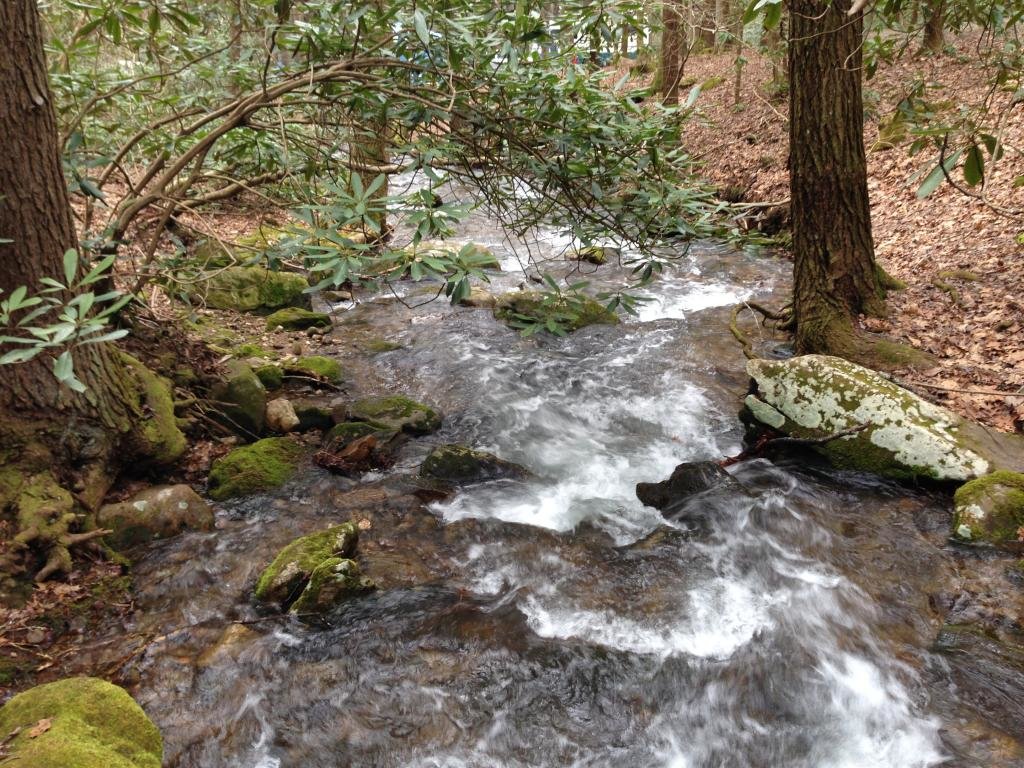 camping3_f8acc3ae1a458d16b6ede1e7a8dca1ef8cb7b6c3.jpg