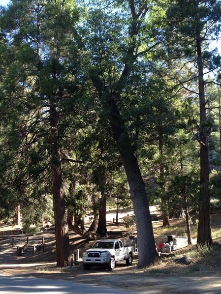 campsite 1.jpg