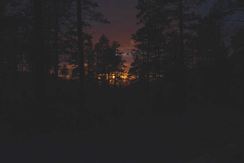 CAMPSITE NIGHT-03.jpg