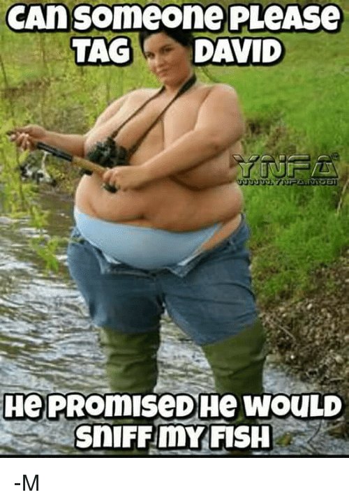 can-someone-please-tag-david-he-promisedhe-would-sniffumy-fish-8782944.jpg