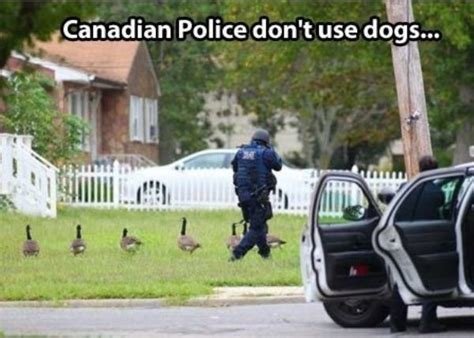 canada8.jpg