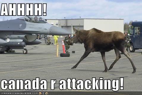 canada_8c15c0c346c6e53293537470587378865cb48cc2.jpg