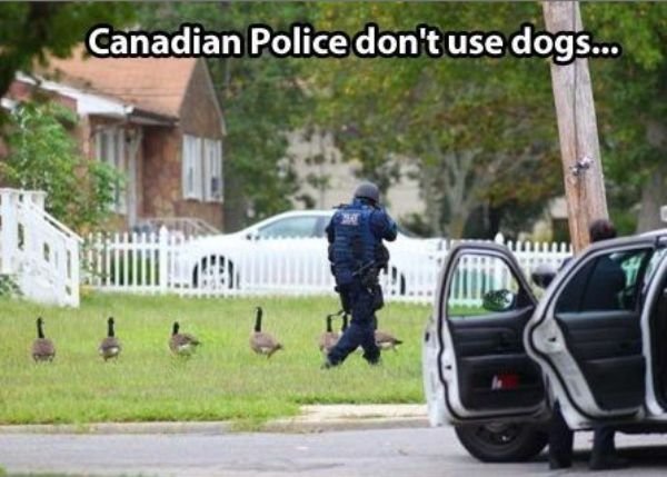 canadian-memes-courtesy-of-our-friends-up-north-24-photos-219.jpg