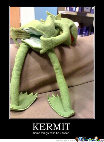 cant-be-unseen-muppet_o_1031984.jpg