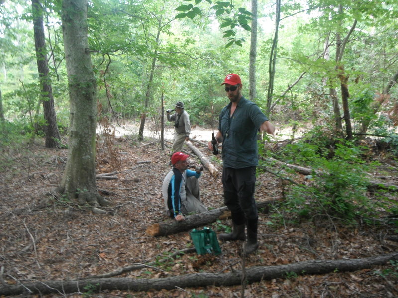 CapeMayfieldwork.jpg
