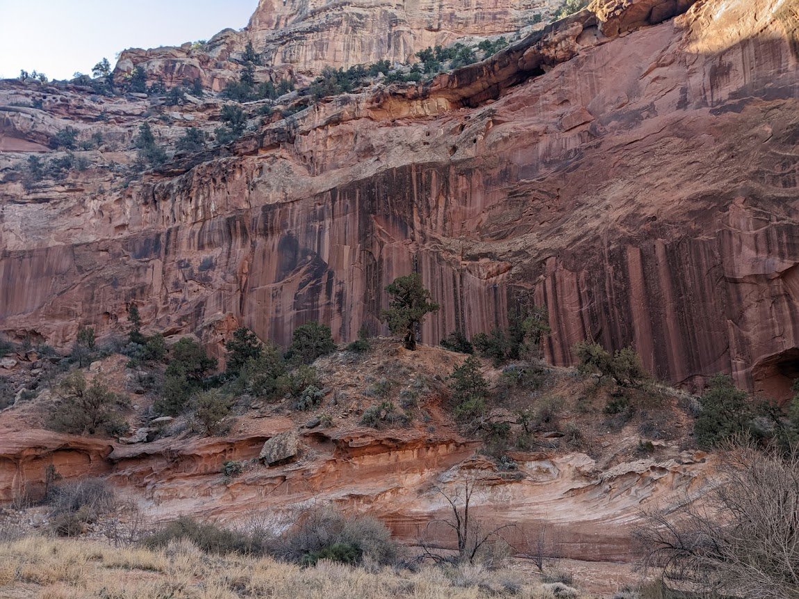 capitol reef 1.jpg