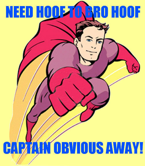 captain%20obvios_zpsmaicum9t_853de219ab944fcc4d7c83afbc52424efcc63056.jpg