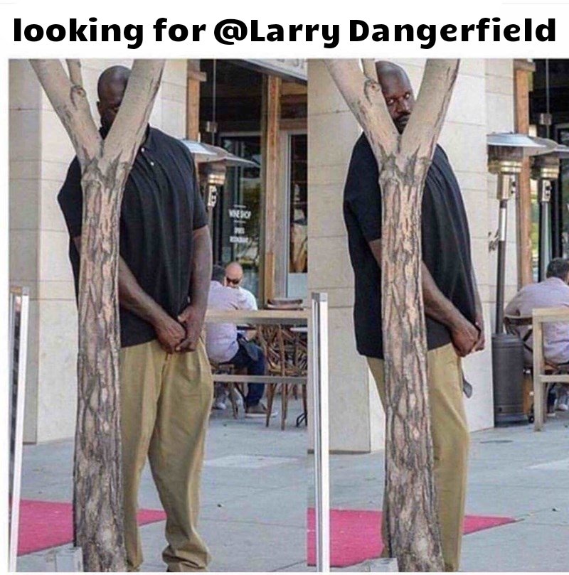 caption-that-reads-when-i-see-a-dog-i-wanna-pet-above-pics-of-shaq-hiding-behind-a-skinny-tree.jpg