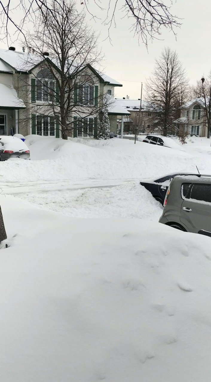 Capture+_2019-02-20-10-06-08-3.jpg