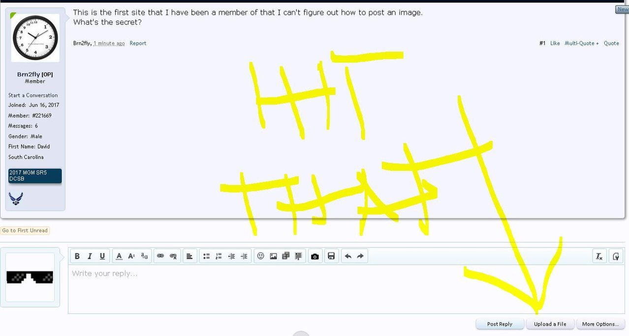 Capture.jpg