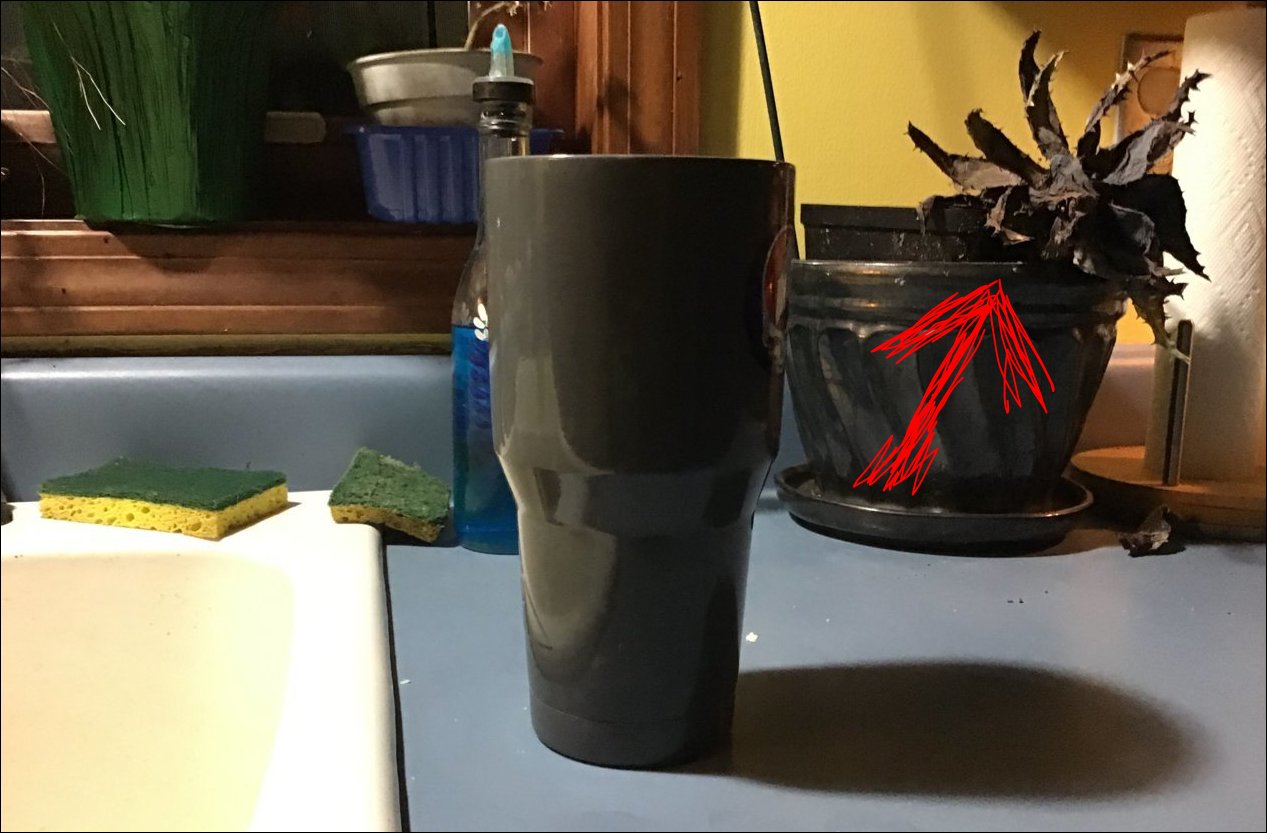 Capture.jpg