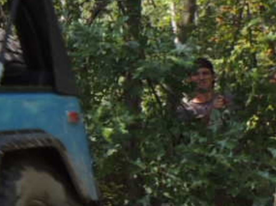 Capture.jpg