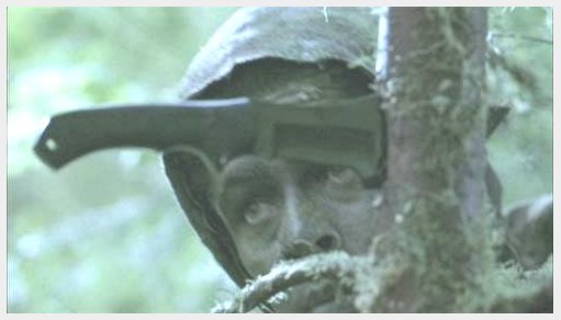 Capture10.jpg