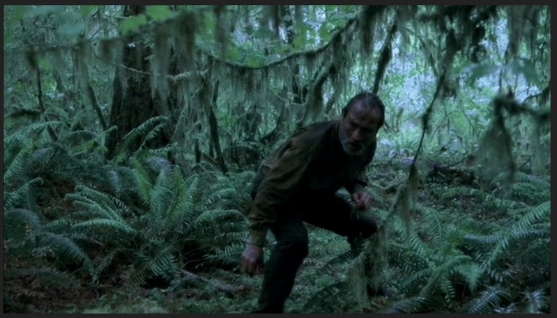 Capture13.jpg