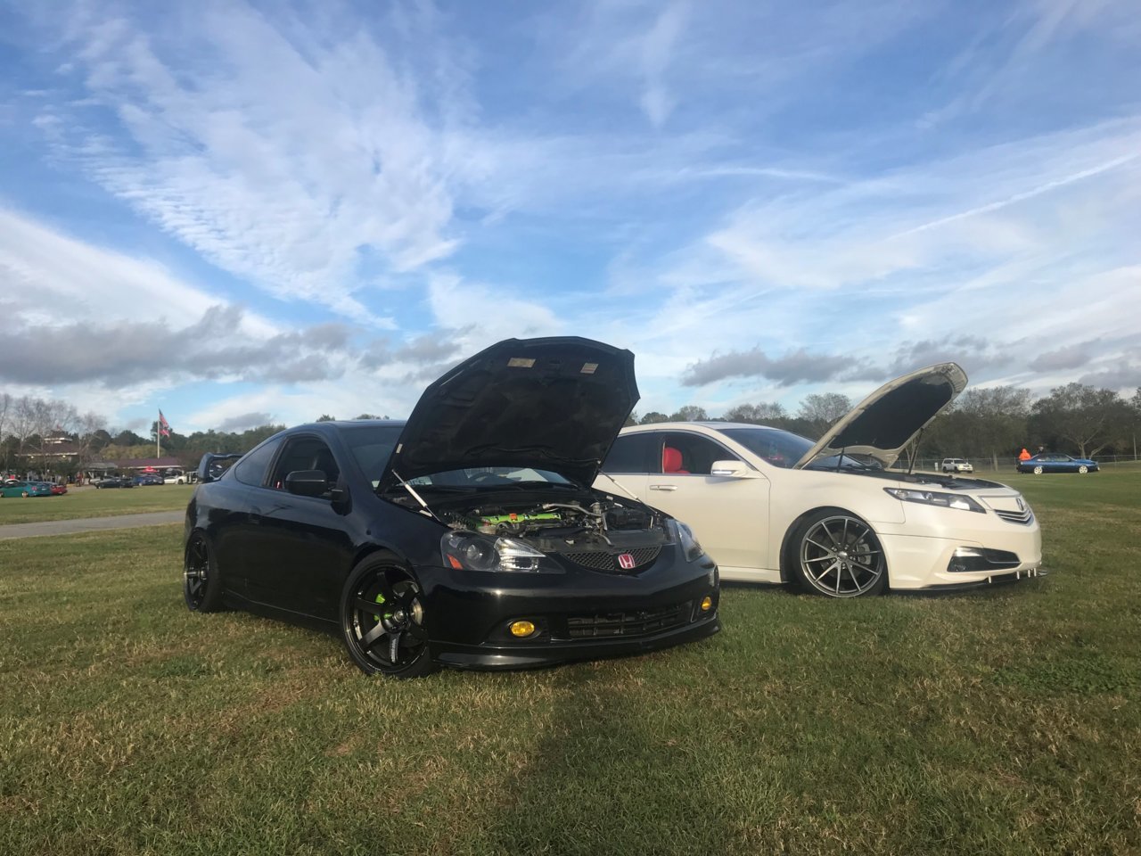 car4.jpg