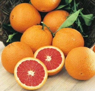 Cara-Cara-Orange-Semi-dwarf.jpg