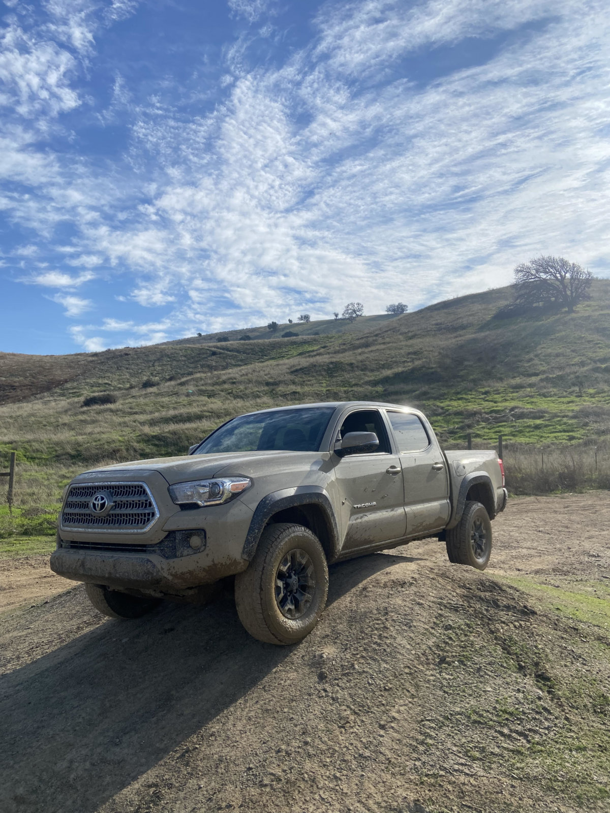 carnegie4x42.jpg