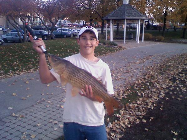 carp 3.jpg