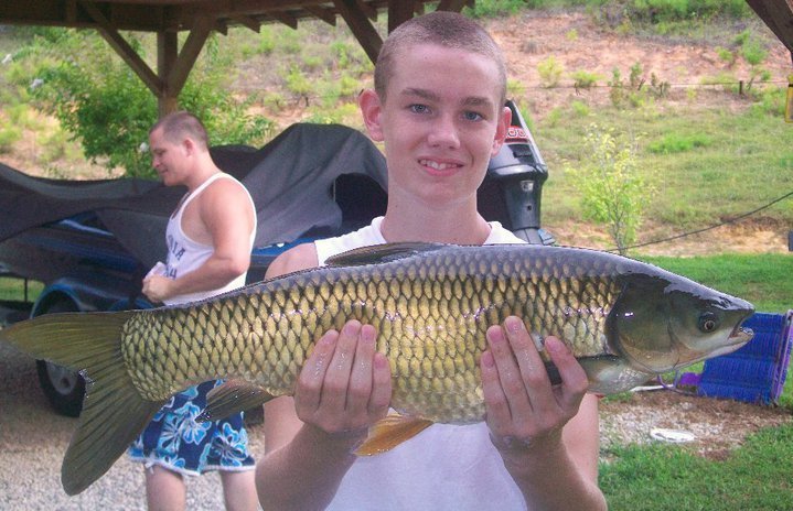 carp.jpg