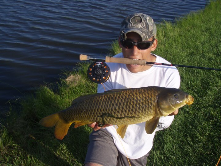 carp.jpg