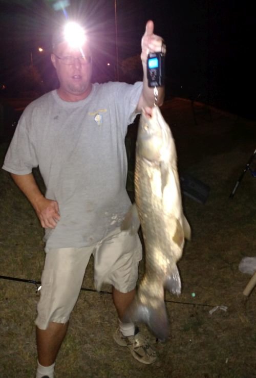 carp_zpsd9jvfcj0_ee89a9677f2131063dffa7d2d856572248296a2e.jpg
