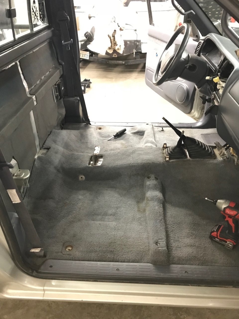 carpet in.jpg