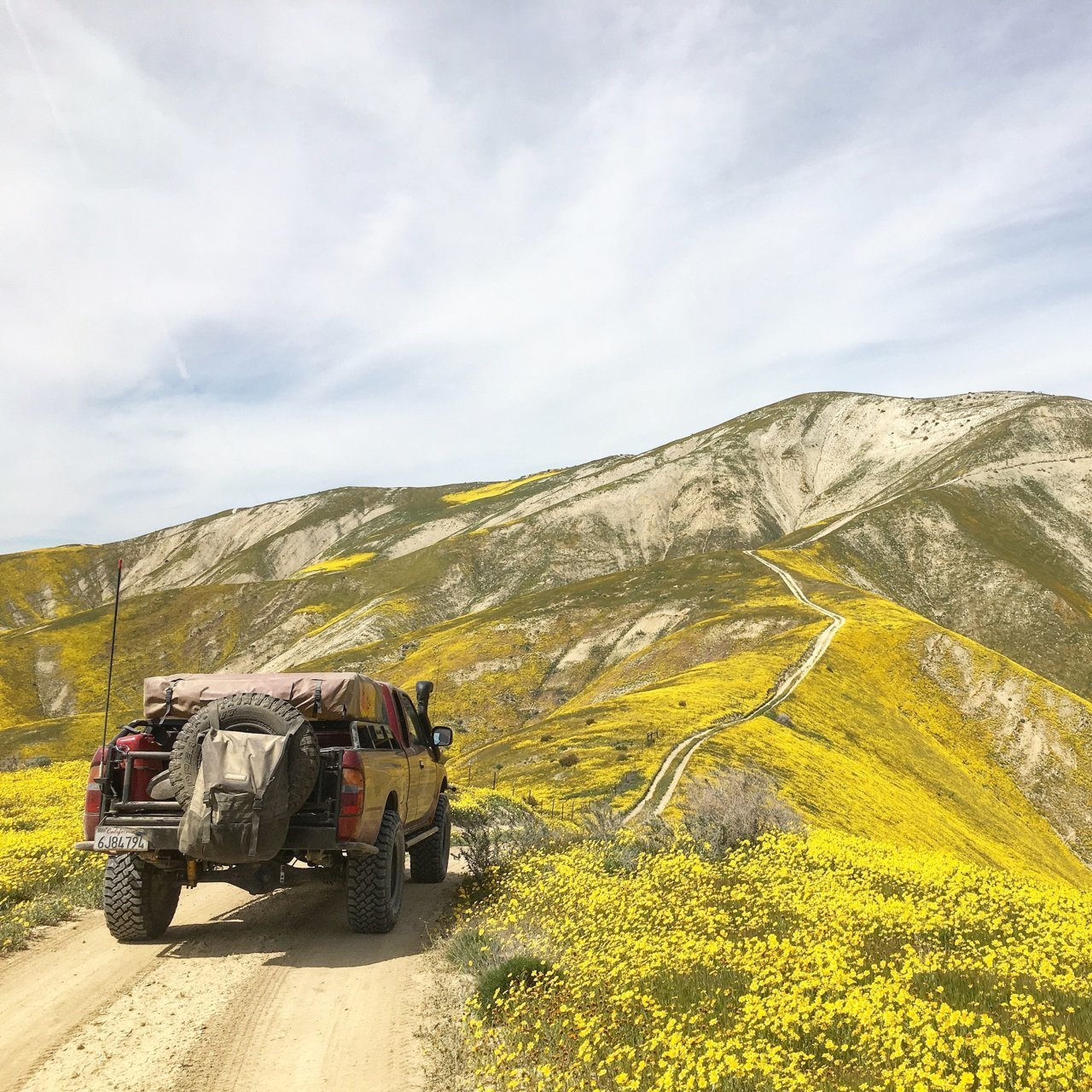 carrizo.jpg