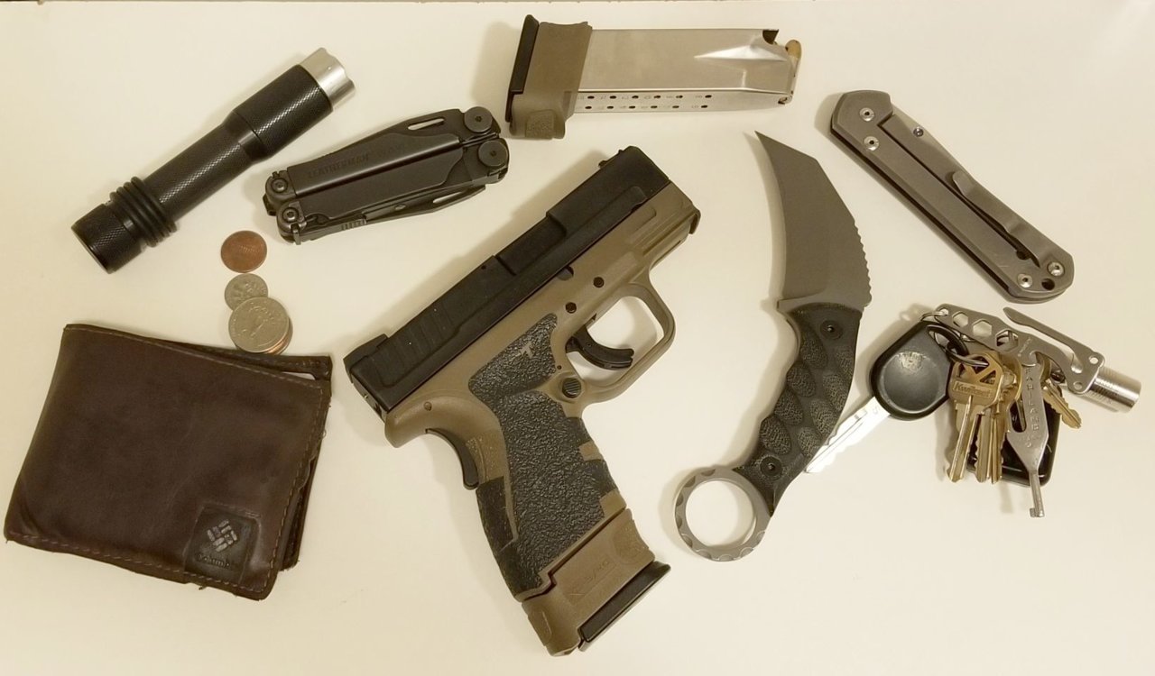 carry1.jpg