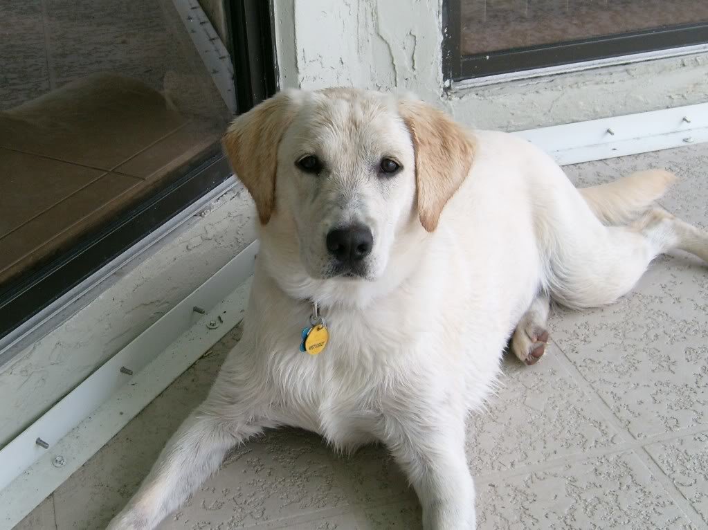 casey23_c667cce39035b203c05732bac2ddeb5b1f4c0180.jpg