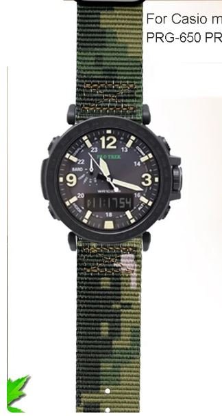 casio.jpg