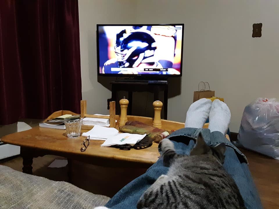 cat 1.jpg