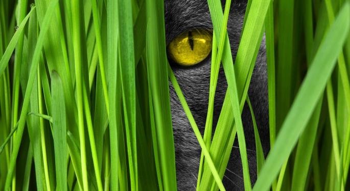 cat-1367000_1920.jpg