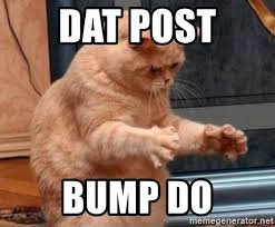 Cat Bump.jpg