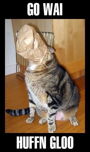 Cat-CatWithHeadInPaperBagGoAwayImHu_b471b6283ee9d557848b137873e50b60f32cb070.jpg