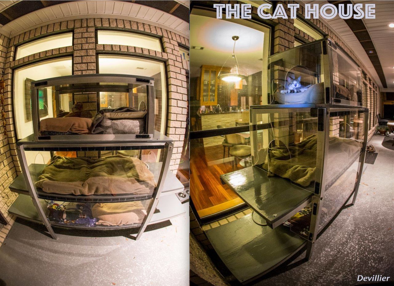 Cat Condo 2.jpg