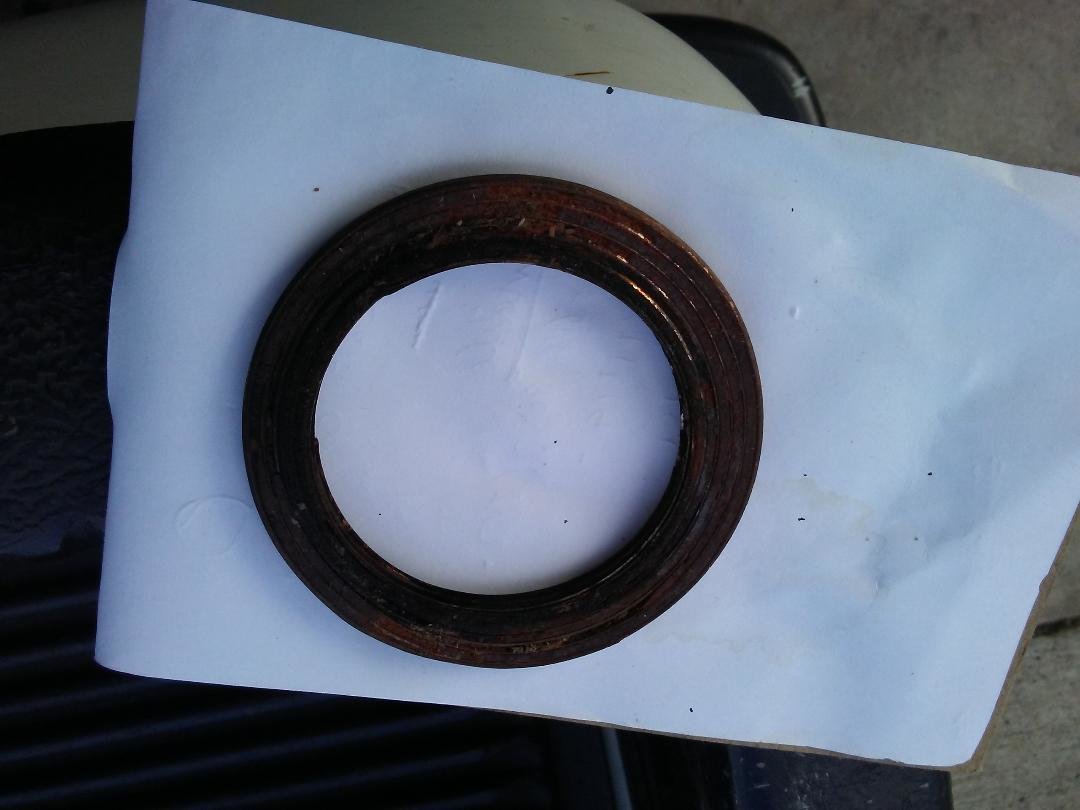 cat gasket.jpg