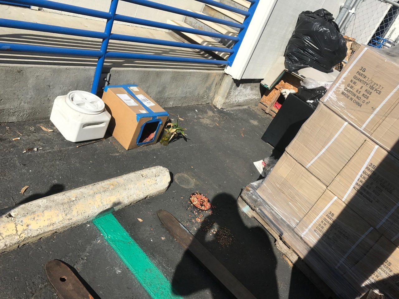 cat house.jpg
