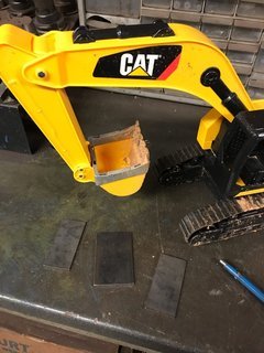 Cat.jpg