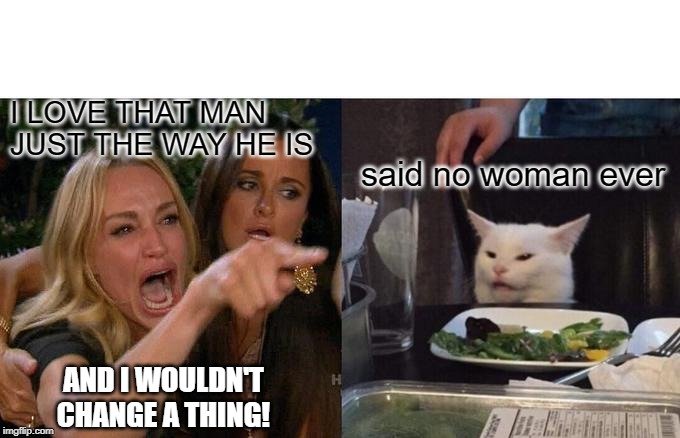 cat.jpg