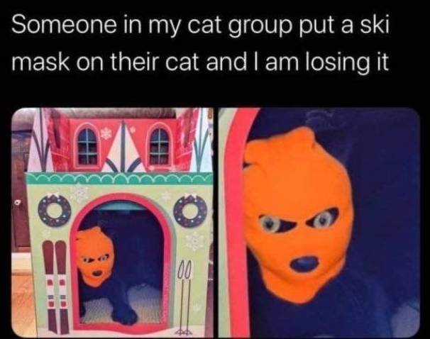cat-mask.jpg