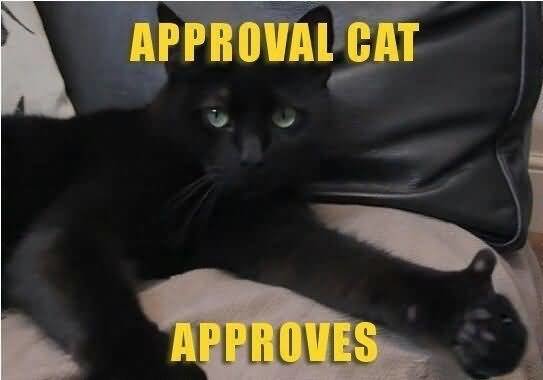 Cat-Meme-Approval-cat-approves-Picture.jpg