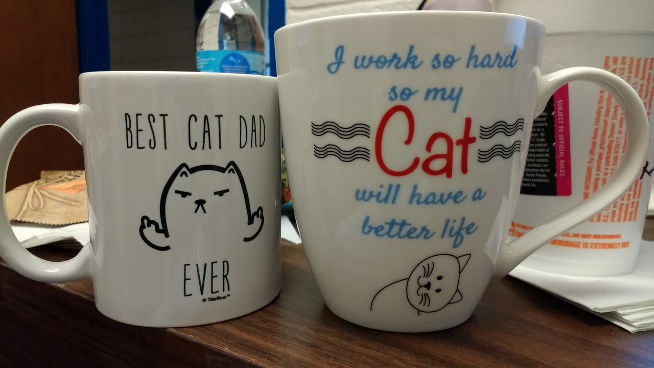 cat mugs.jpg