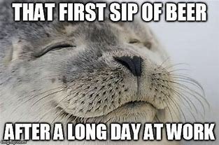 cat sip.jpg