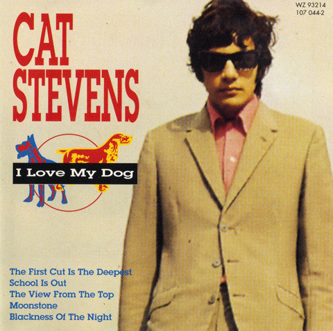 CAT STEVENS.jpg