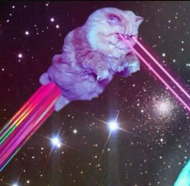 cat-that-shoots-lasers.jpg