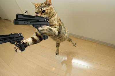 cat-vnr-guns.jpg