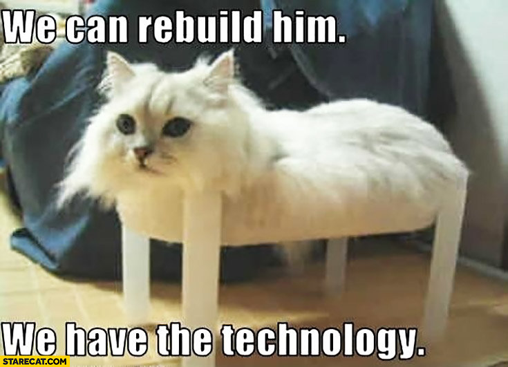 cat-without-legs-we-can-rebuild-him-we-have-the-technology.jpg