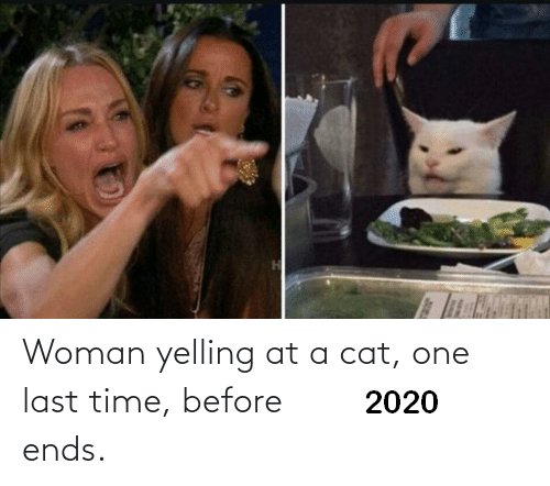 cat1.jpg