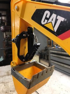 Cat11.jpg